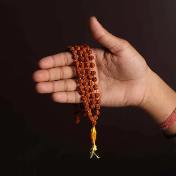 Om Shiva Divine Rudraksha Combo - Image 4